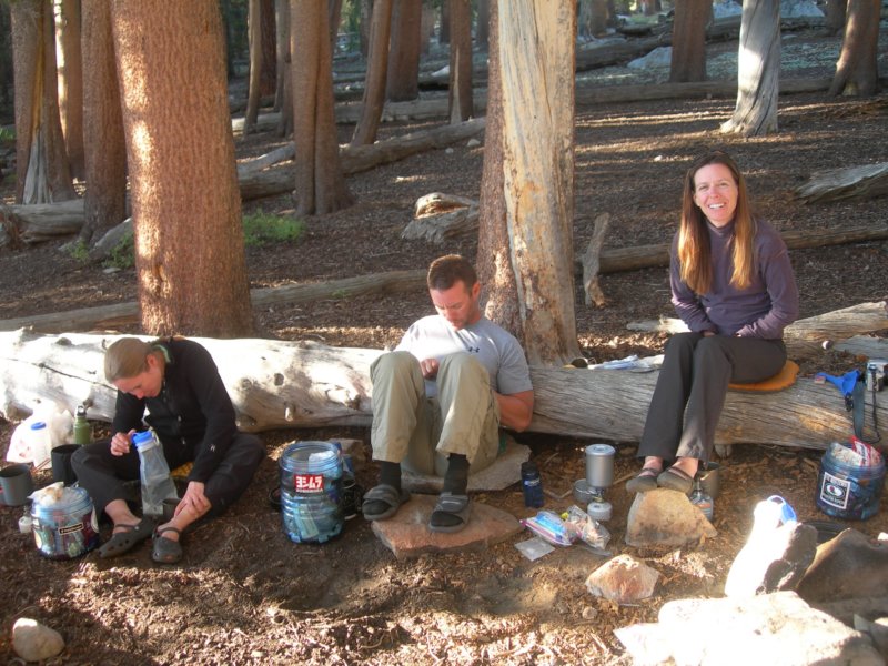 sequoianp340.jpg