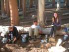 sequoianp340_small.jpg