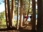 sequoianp342_small.jpg