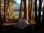 sequoianp343_small.jpg