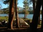 sequoianp345_small.jpg