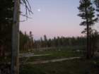 sequoianp348_small.jpg