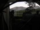 sequoianp352_small.jpg