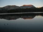 sequoianp354_small.jpg
