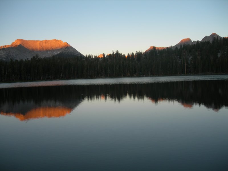 sequoianp355.jpg