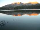 sequoianp357_small.jpg