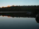sequoianp358_small.jpg