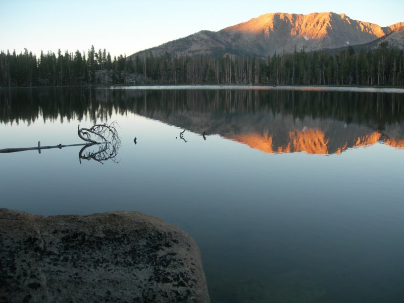 sequoianp359.jpg