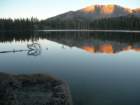 sequoianp359_small.jpg