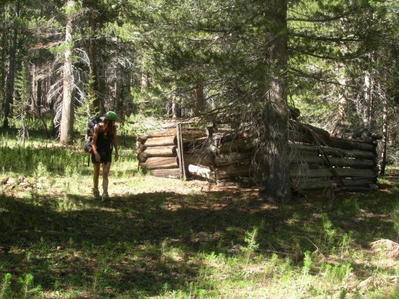 sequoianp361.jpg