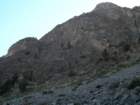 sequoianp385_small.jpg