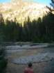 sequoianp390_small.jpg