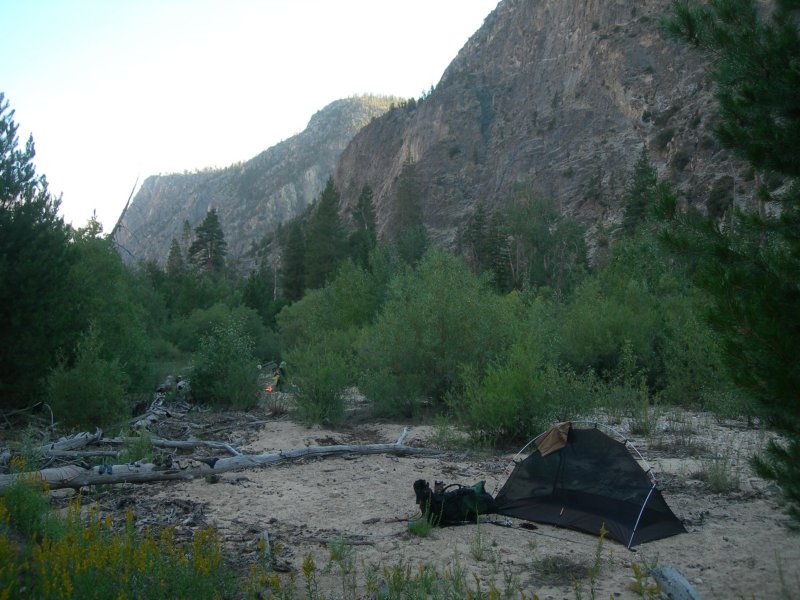 sequoianp391.jpg