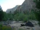 sequoianp391_small.jpg