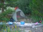 sequoianp392_small.jpg