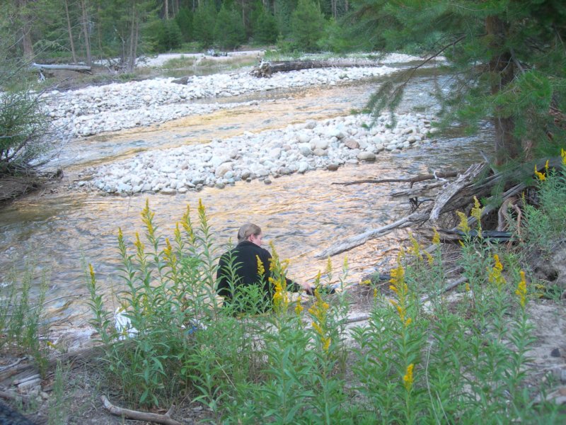 sequoianp393.jpg
