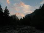 sequoianp400_small.jpg