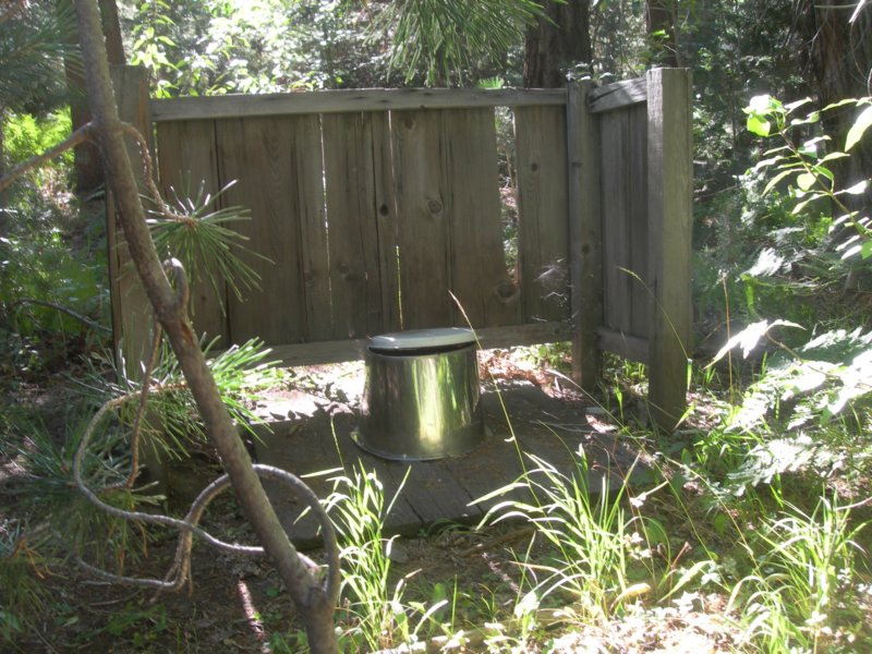sequoianp413.jpg