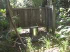 sequoianp413_small.jpg