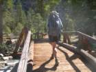 sequoianp418_small.jpg