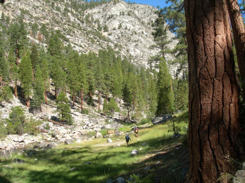 sequoianp420.jpg