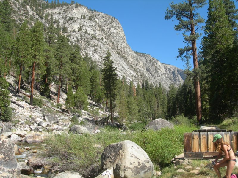sequoianp421.jpg