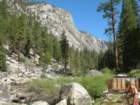 sequoianp421_small.jpg