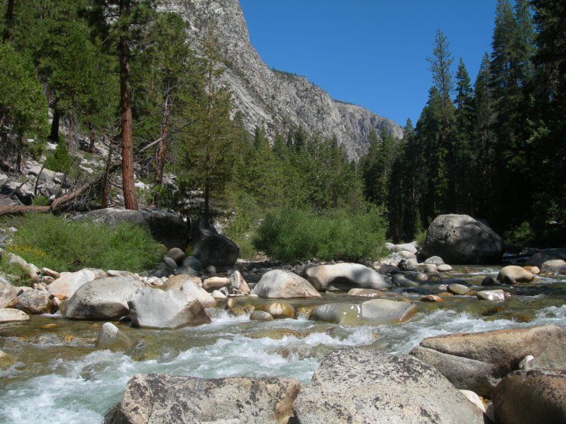 sequoianp424.jpg