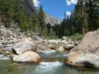sequoianp427_small.jpg