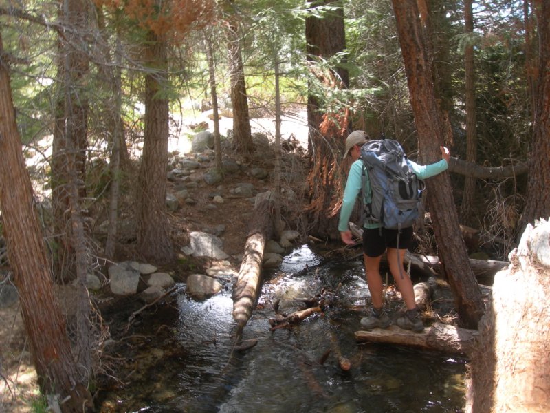 sequoianp432.jpg