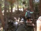 sequoianp432_small.jpg