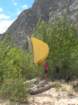 sequoianp434_small.jpg