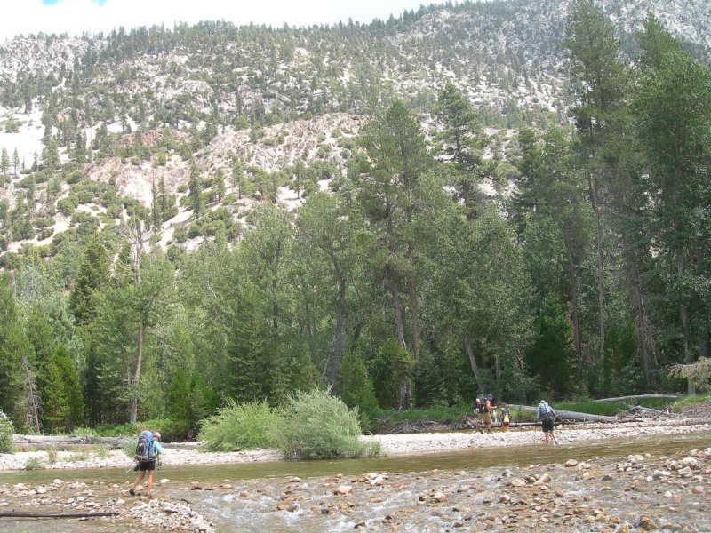 sequoianp435.jpg