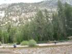sequoianp435_small.jpg