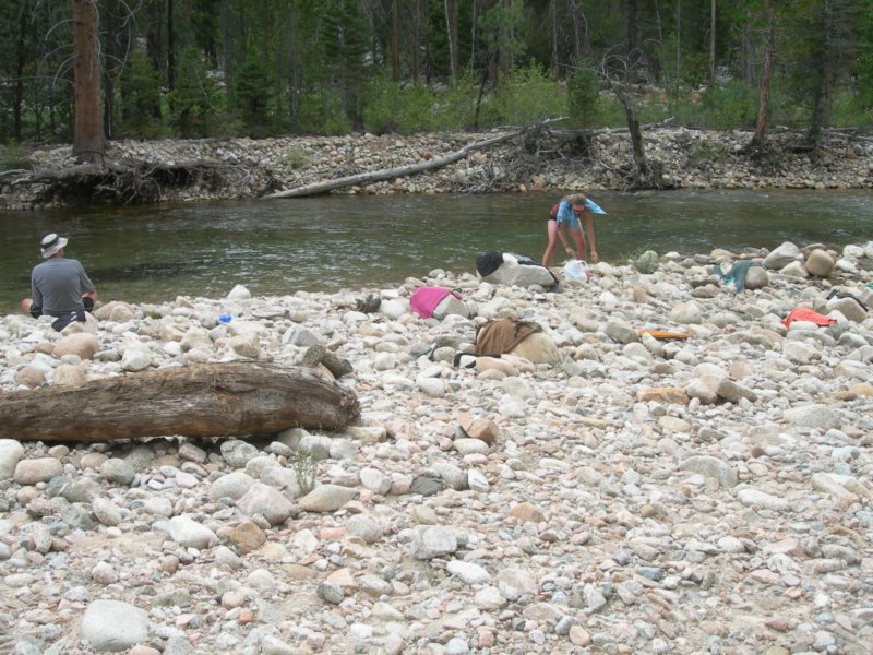 sequoianp436.jpg