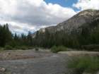 sequoianp439_small.jpg