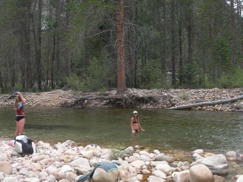 sequoianp441.jpg