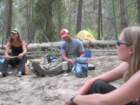 sequoianp446_small.jpg