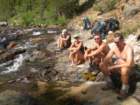 sequoianp463_small.jpg