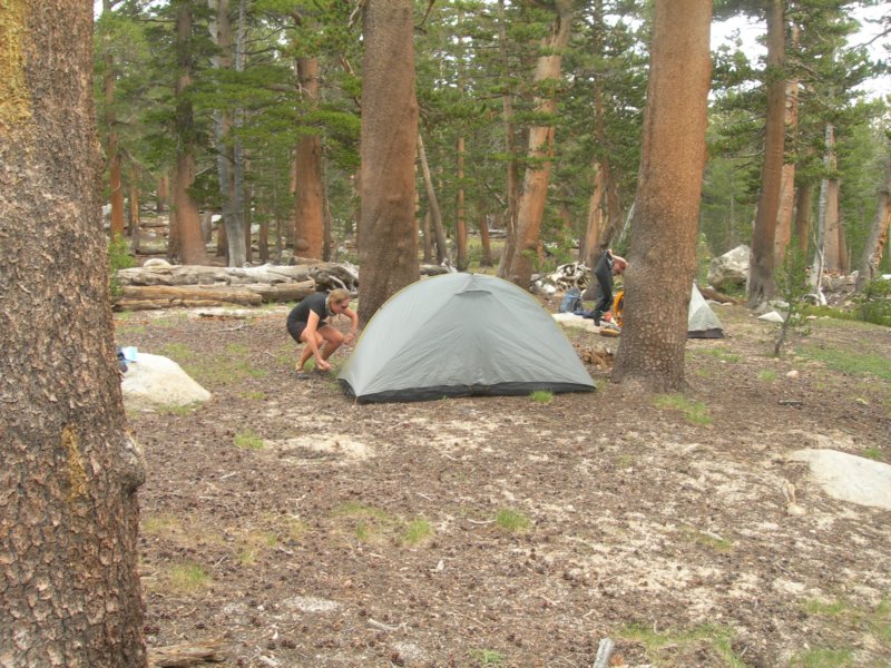 sequoianp480.jpg