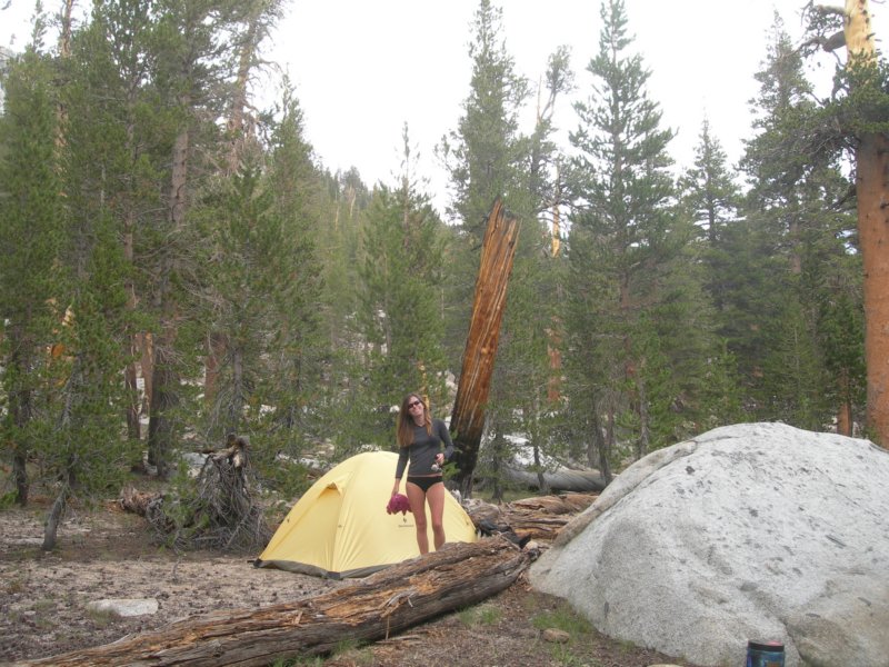 sequoianp481.jpg