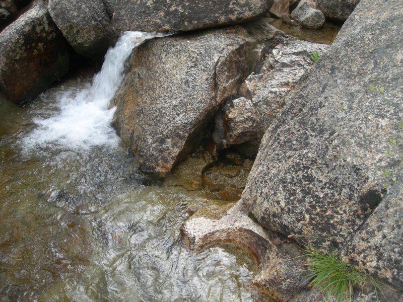 sequoianp487.jpg