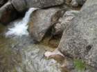 sequoianp487_small.jpg