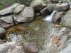 sequoianp489_small.jpg