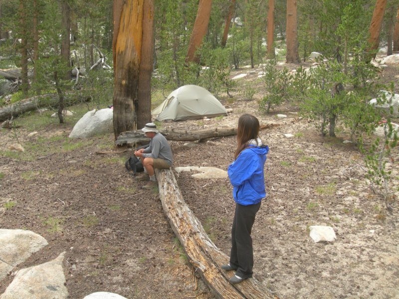 sequoianp495.jpg