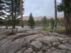 sequoianp505_small.jpg