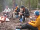 sequoianp511_small.jpg
