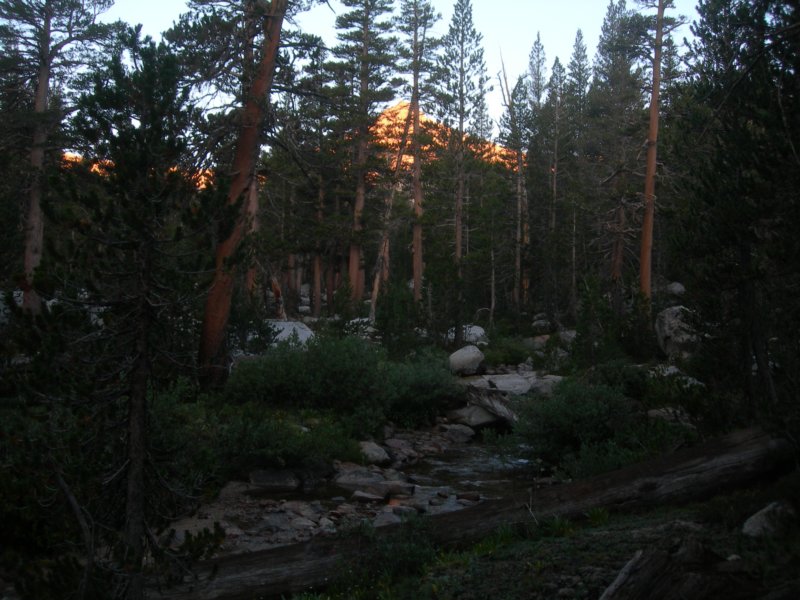 sequoianp514.jpg