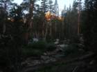 sequoianp514_small.jpg