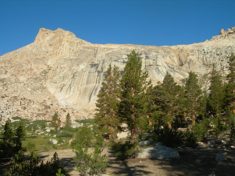 sequoianp519.jpg